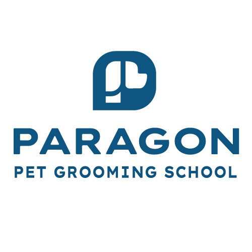 Paragon-logo-square