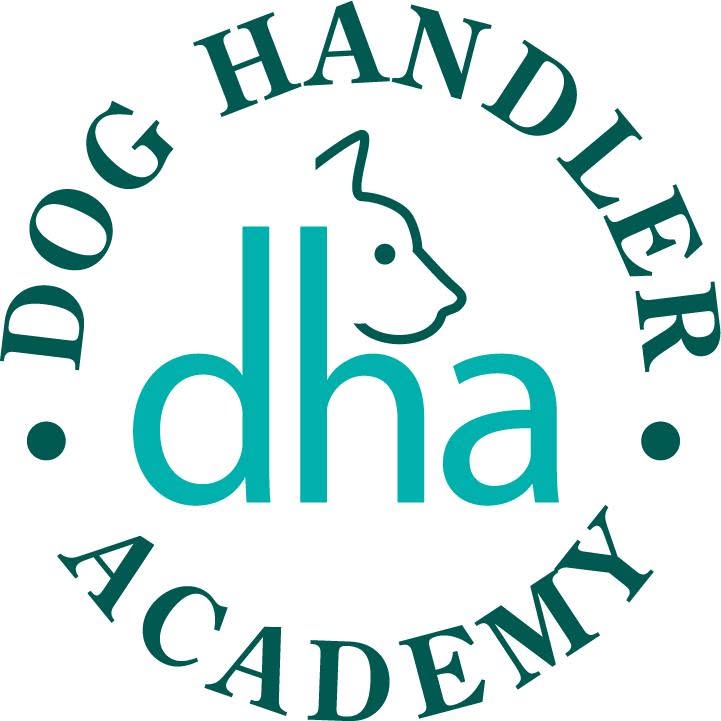dog handler academy